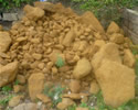 Carrstone Rockery